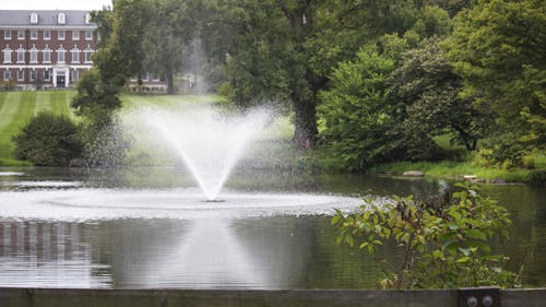 One key goal of the Rutgers Climate Action Plan includes becoming carbon negative by 2041. – Photo by Olivia Thiel