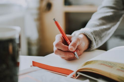 With Rutgers’ notoriously large lecture halls, it would be prudent for all students to consider accepting extra help from campus writing centers. – Photo by lilartsy / Unsplash
