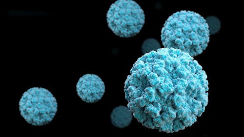 A suspected norovirus may have sickened more than 30 students since Dec. 7, sending at least one to a hospital. – Photo by Flickr