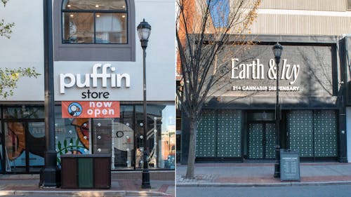 Puffin and Earth & Ivy, both opened earlier this year, sell recreational cannabis on George Street in Downtown New Brunswick. – Photo by Leigh Lustig