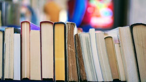 Calling all Netflix producers: These books deserve their chance at being made into TV shows. – Photo by Tom Hermans / Unsplash