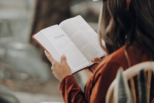 If you've been having "reader's block" lately, our extensive astrology knowledge will help you pick a book based on your zodiac sign. – Photo by Joel Muniz / Unsplash
