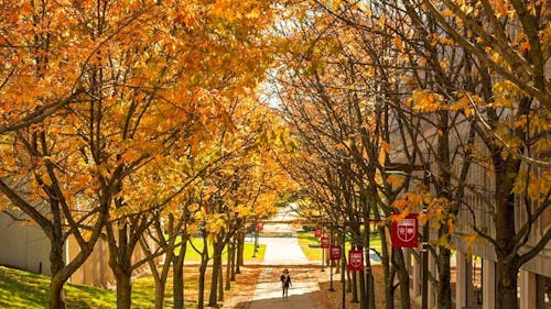 Rutgers students talk about their experience on the pre-med track. – Photo by rutgersu / Instagram