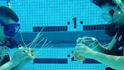 Underwater basket weaving was offered more than a decade ago but was not widely taken. It is being offered again this semester as a non-credited course. – Photo by Facebook