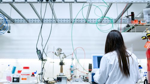 The gender disparity in the STEM field can cause some students to experience setbacks in their education. – Photo by ThisisEngineering RAEng / Unsplash