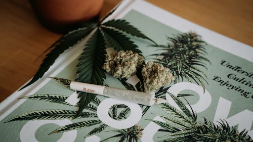 State residents are now able to buy cannabis and cannabis products without a medical card. – Photo by Shelby Ireland / Unsplash