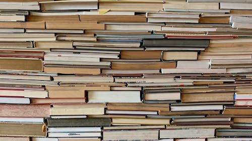 Reading is a dreary reminder of cramming for finals for many students, but these book recommendations might just change your mind. – Photo by Tim Wildsmith / Unsplash.com