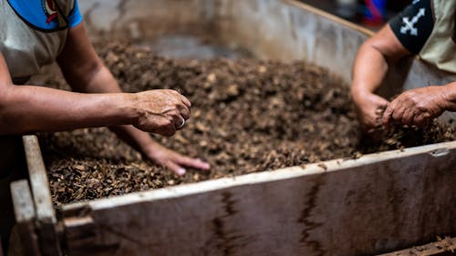 RU Compost, a student sustainability organization, has faced a lack of funding and advertising, which has disallowed it from expanding its services.  – Photo by Conscious Design / Unsplash
