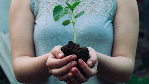 If you’re looking to make an impact this Earth Day, Rutgers has a bunch of amazing activities right here on campus! – Photo by Nikola Jovanovic / Unsplash