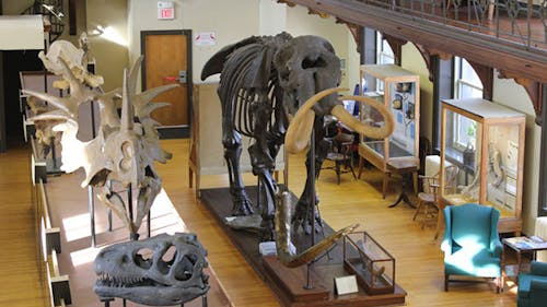 Rutgers University Geology Museum (RUGM) has an incredible collection that students should see. – Photo by Rutgers.edu