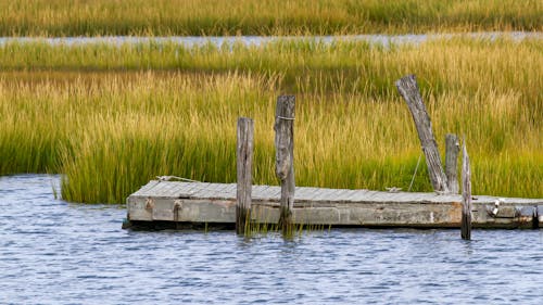 The New Jersey Department of Environmental Protection (NJDEP), in partnership with the Rutgers Center for Remote Sensing and Spatial Analysis, created an online mapping tool to track coastal restoration projects around the state.  – Photo by Rutgers.edu
