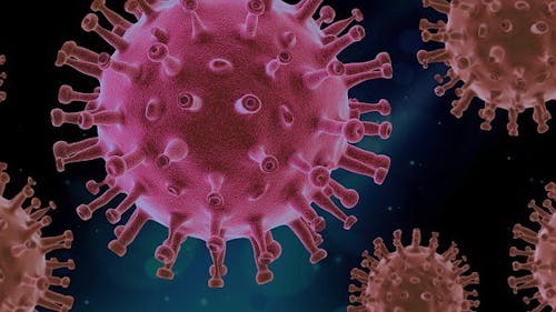 The original coronavirus disease (COVID-19) strain, pictured above, is different from the new B.1.1.7 variant that spreads more rapidly, said Mary O’Dowd, executive director of Health Systems and Population Health Integration for Rutgers Biomedical and Health Sciences. – Photo by Pixabay.com