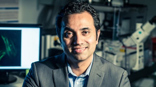 Prabhas V. Moghe, executive vice president for academic affairs, said that individual academic programs may continue to adjust course offerings throughout the next few months after looking over factors such as enrollment and student interest. – Photo by Rutgers.edu