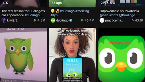 Duolingo has been turning heads with its recent logo change, sparking conversations about how brands should conduct themselves. – Photo by @TikTok