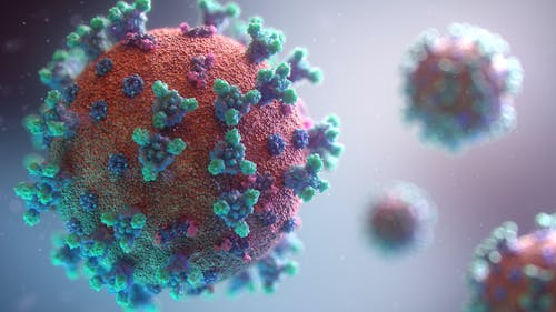 Orally bioavailable antiviral drugs are vital in how they can help combat the ongoing spread of the coronavirus disease (COVID-19) pandemic, a Rutgers expert says. – Photo by Fusion Medical Animation / Unsplash