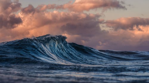 A recent study co-authored by a member of the Rutgers Climate Institute examines how the distance between the Earth and the sun affects the Pacific Ocean and global weather patterns. – Photo by Silas Baisch / Unsplash