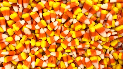 Halloween is full of contested questions, from what the best spooky song might be to the mystery of if candy corn is delicious or disgusting. – Photo by Mary Jane Duford / Unsplash