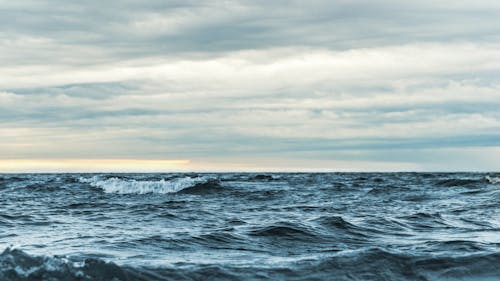 The Rutgers’ Center for Ocean Observing Leadership (RUCOOL) owns 38 robotic ocean gliders that the center deploys into the ocean to collect valuable data. – Photo by Ant Rozetsky/ Unsplash