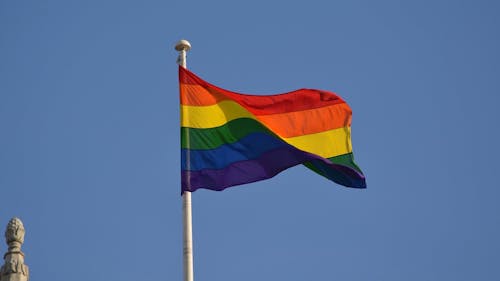 Aside from serving as a safe space for LGBTQ+ individuals at Douglass Residential College, Rainbow Pines also holds weekly meetings to engage members, provides educational resources, takes part in multiple charitable projects and seeks to preserve the history of LGBTQ+ students at Douglass. – Photo by Pixabay.com