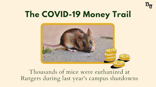 The University requested $1.15 million in reimbursement from state coronavirus disease (COVID-19) aid for the loss of 4,600 cages of mice. – Photo by Sakina Pervez 