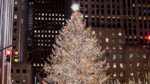 This year, hundreds of protesters descended upon the Christmas tree lighting at Rockefeller Center, drawing attention away from the holiday cheer and religious implications of Christmas. – Photo by Manny Alvarez / Unsplash.com