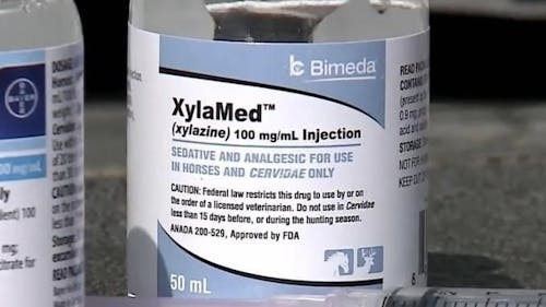 A combination of xylazine and fentanyl can have lethal consequences, according to a public safety alert from the Drug Enforcement Administration (DEA). – Photo by @cbschicago / Twitter